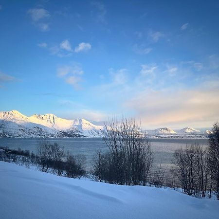 Fantastic View, Quiet And Relaxing By The Sea Villa Kvaloya Buitenkant foto