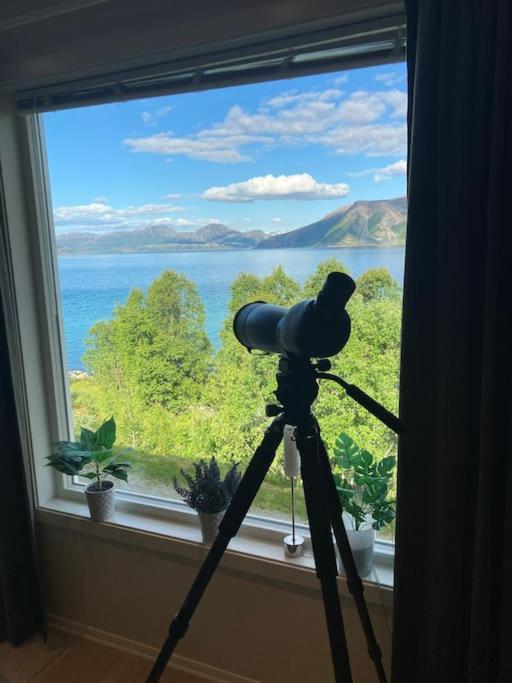Fantastic View, Quiet And Relaxing By The Sea Villa Kvaloya Buitenkant foto
